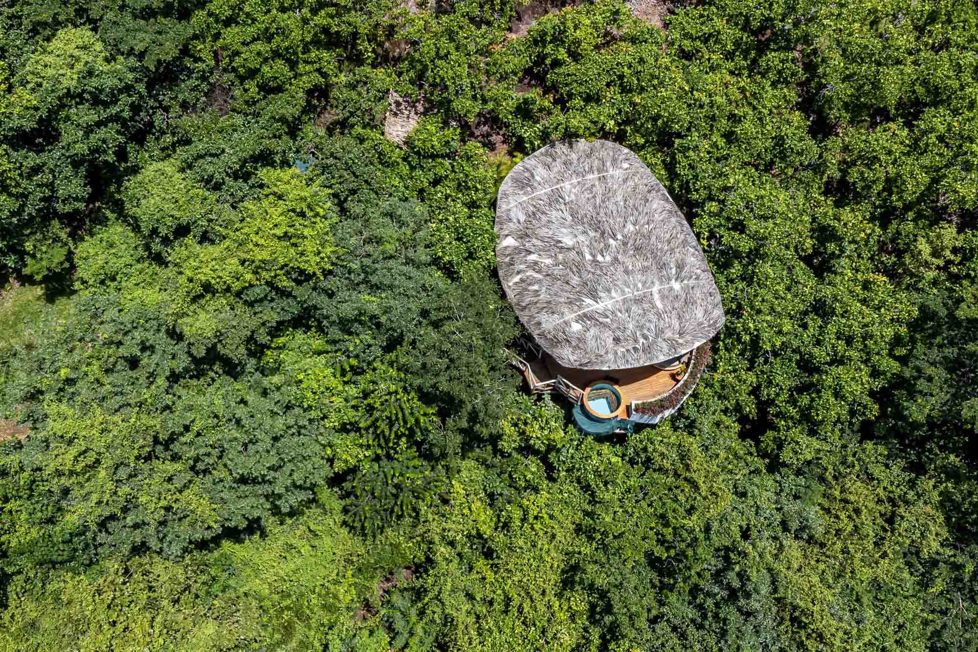 house in the middle of the costa rican jungle